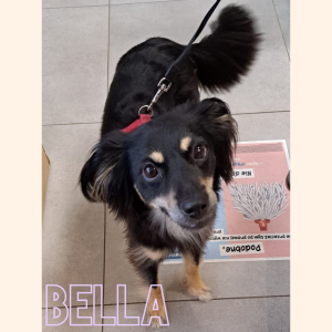 BELLA