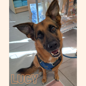 Lucy
